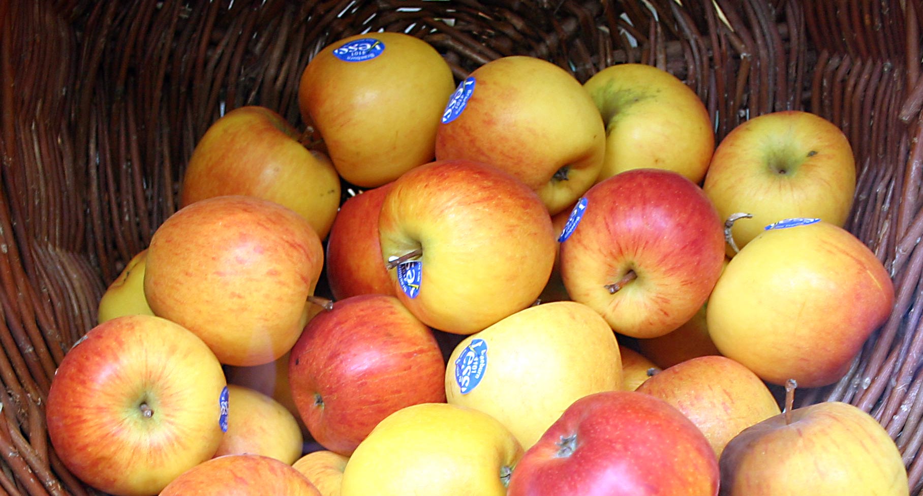Braeburn — ett krispigt vinteräpple med perfekt balans