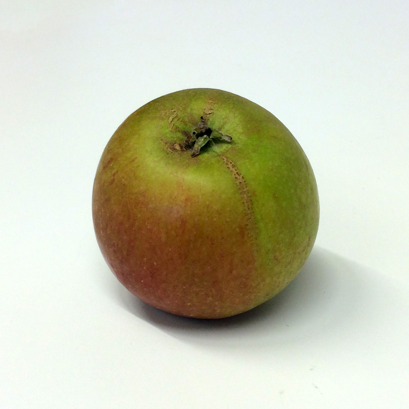 Cox's Orange Pippin — brittisk klassiker med unik smak