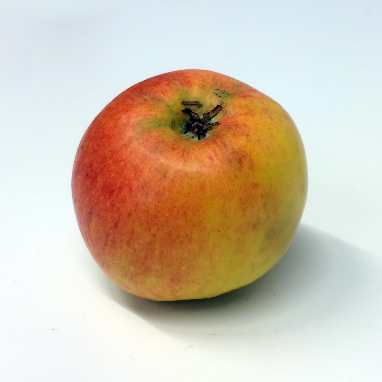James Grieve — skotsk klassiker med Cox Orange-arv