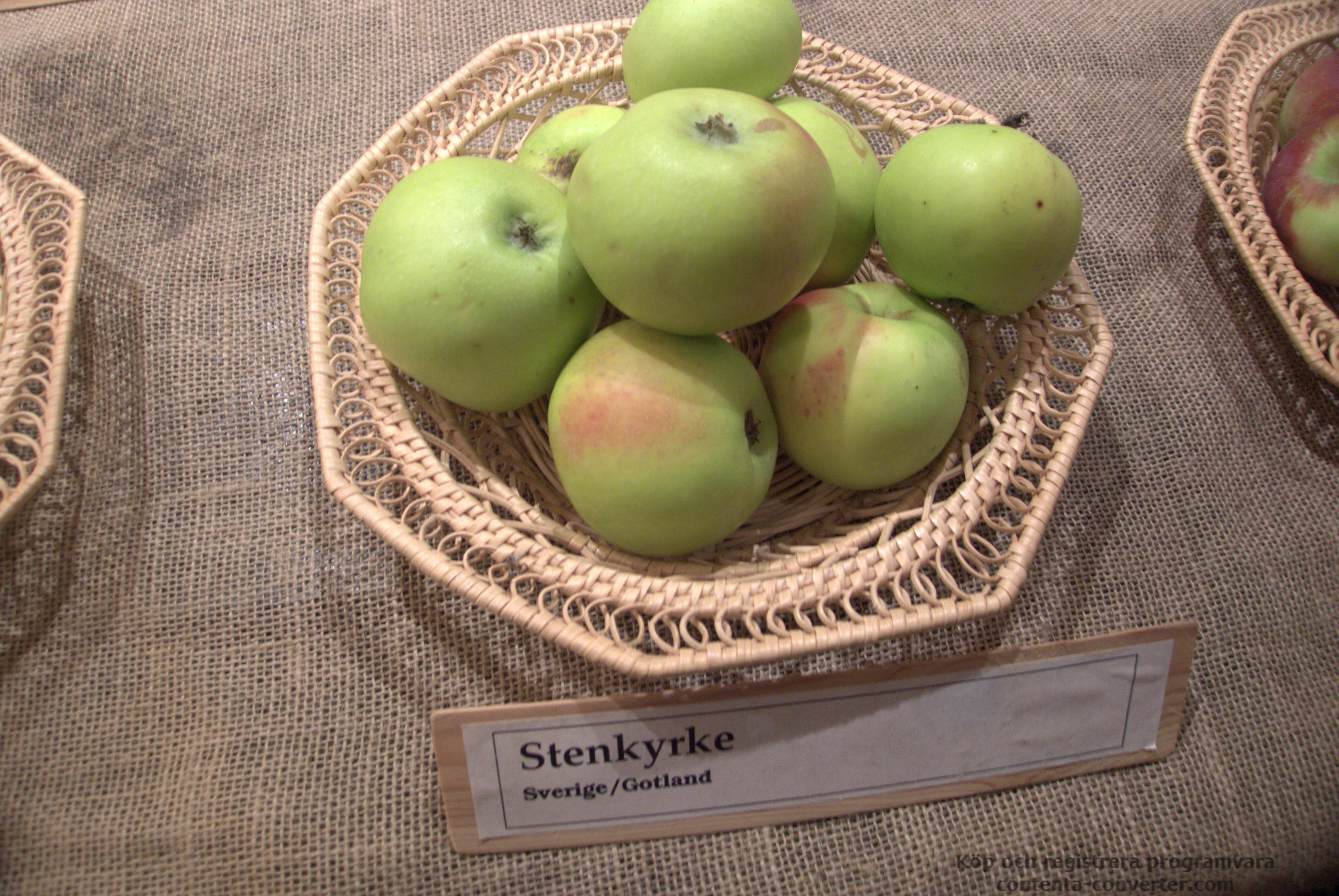Stenkyrke — Gotlands officiella landskapsäpple